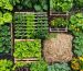 A flourishing vegetable garden featuring vertical growers, companion planted vegetables, straw mulch, and a compost bin, all representing eco-friendly and sustainable gardening practices.