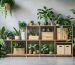 Stylish and sustainable storage containers made from bamboo, recycled plastic, and natural fibers in a well-organized, eco-conscious home setting, surrounded by lush greenery.