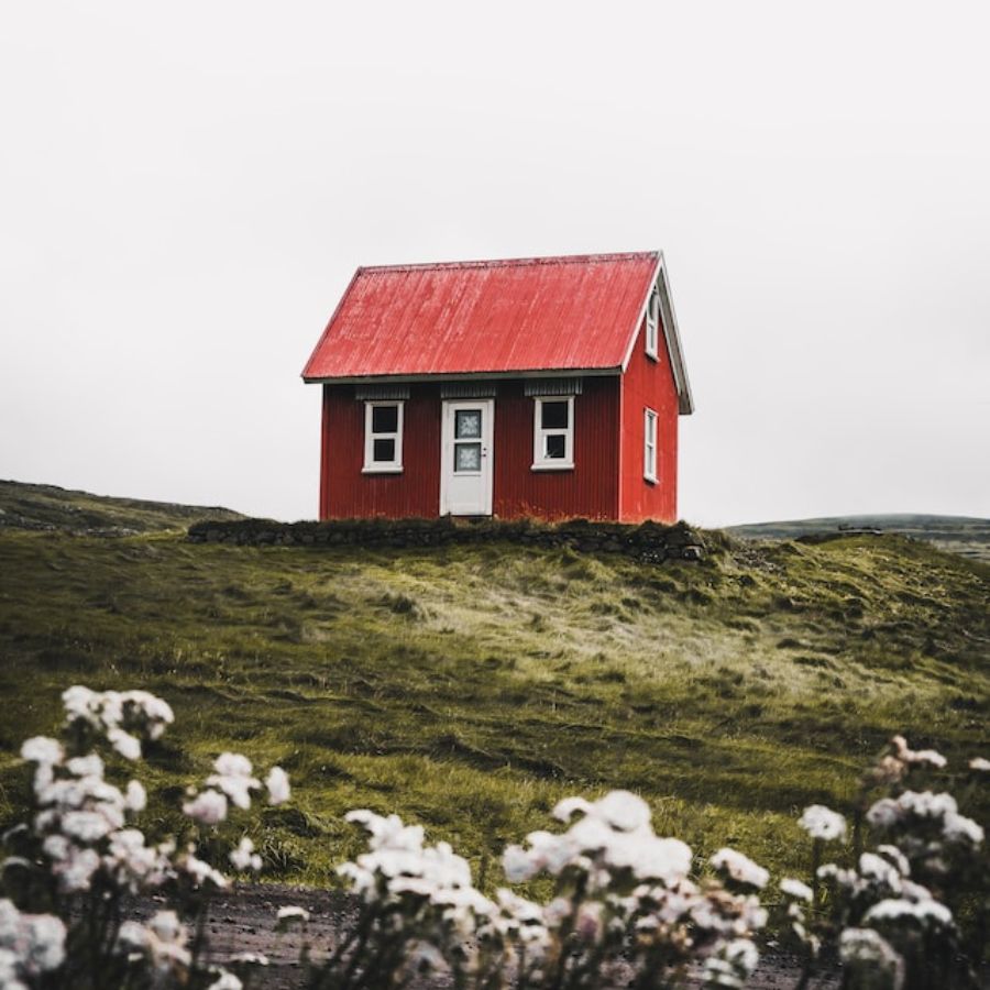 A shed with installed windows