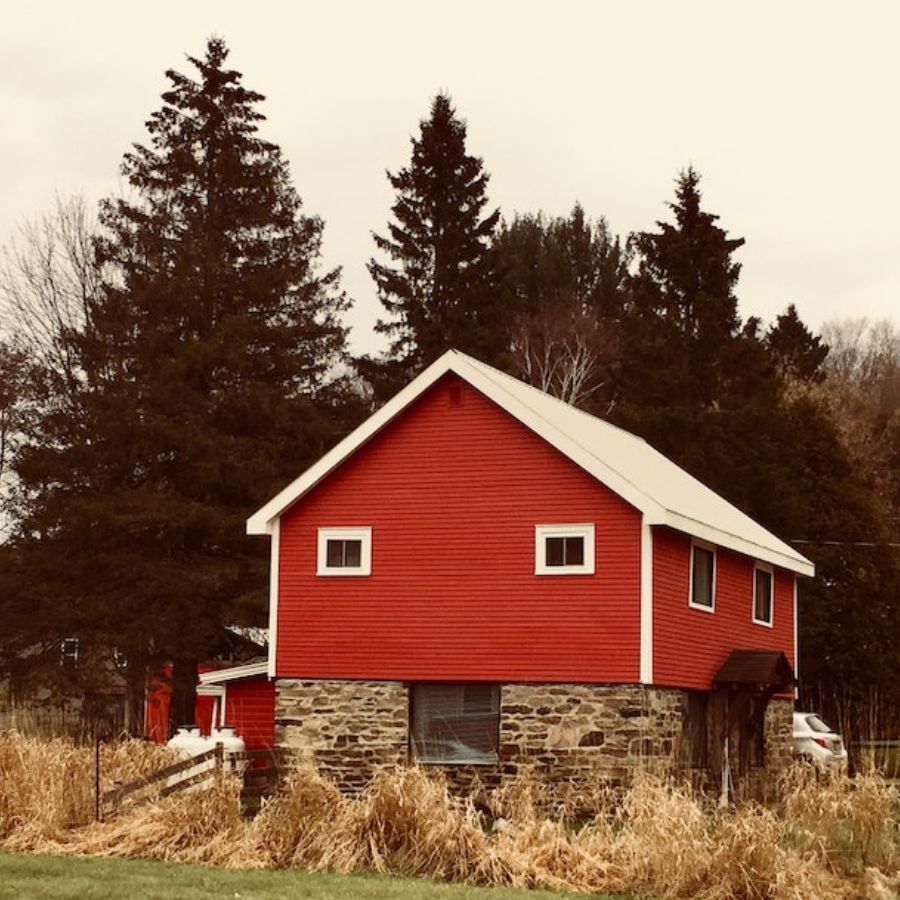 a raised shed near a forest