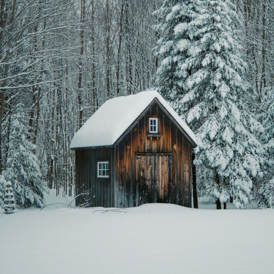 a shed near a forest on a snowy day