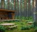 A tranquil outdoor workspace set within a forest, showcasing responsible forestry practices with marked trees for selective harvesting. The image highlights a balance between human structures and natural scenery.