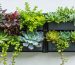 A modern and vibrant vertical garden display on a small balcony, featuring modular planting panels with colorful herbs, succulents, and trailing vines arranged for maximum impact.