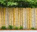 "Eco-friendly garden fence made of vertical bamboo poles, accentuated by a backdrop of lush greenery."