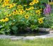 "A small pollinator garden with vibrant clusters of native flowers, herbs, and a shallow birdbath under soft natural lighting."