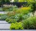 Eco-friendly garden with diverse grassland plants featuring deep-rooted prairie grasses and colorful flowers, showcasing climate-adaptive landscaping.