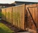 Bamboo fence with a reclaimed-wood gate and a row of newly planted living willow cuttings in a backyard, shot at golden hour with garden beds and native plants softly blurred behind.