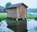 Small wooden backyard shed on raised piers beside standing water and marsh reeds, with blurred suburban homes and trees under an overcast sky, suggesting a flood-prone location.