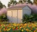 Florida backyard storage shed surrounded by layered native plants—saw palmetto, coontie, purple muhly grass, beach sunflower, and gaillardia—lit by warm golden-hour light with softly blurred palms and a fence in the background
