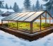 In-ground greenhouse with earth-bermed walls and a clear slanted roof, glowing warmly amid snow, with lush green vegetable beds visible inside; photographed from a slightly elevated angle with a farmhouse and pine trees softly blurred in the background.