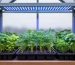 Eye-level close-up of seedling trays and young herbs on a greenhouse bench illuminated by an overhead full-spectrum LED grow panel, with translucent greenhouse panels and a cloudy sky softly blurred in the background.