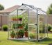 A compact 6x8 greenhouse kit with clear panels in a suburban backyard surrounded by greenery.