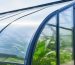Residential greenhouse exterior with translucent glazing panels showing light diffusion and clear panel texture.